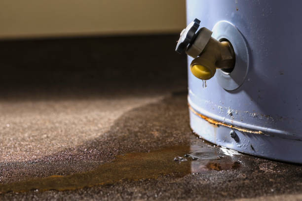 Best Residential water damage restoration  in Buellton, CA