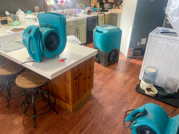 Best Water damage restoration near me  in Buellton, CA