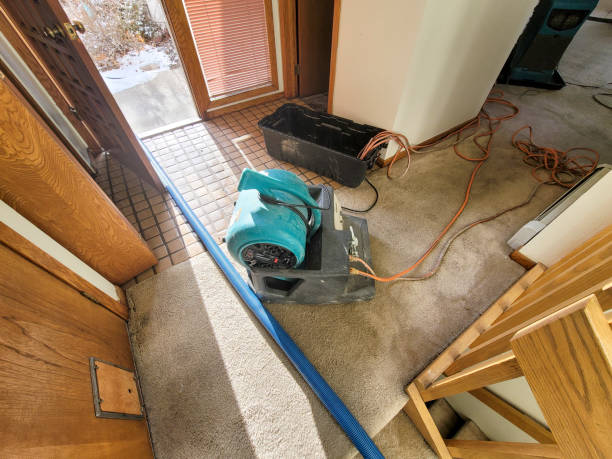 Best Water damage contractors near me  in Buellton, CA