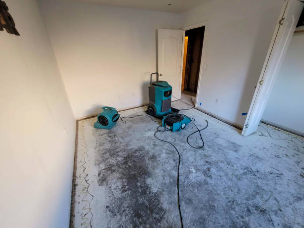 Best Carpet water damage restoration  in Buellton, CA