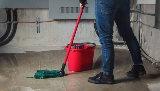 Best Professional water damage repair  in Buellton, CA