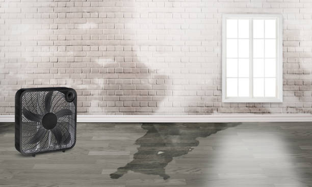 Best Residential water damage restoration  in Buellton, CA