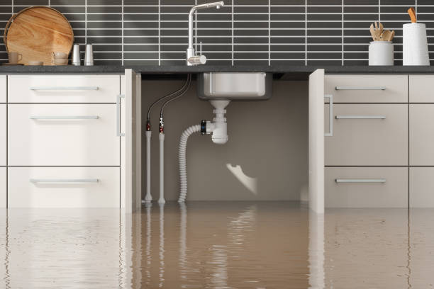 Best Water damage restoration near me  in Buellton, CA